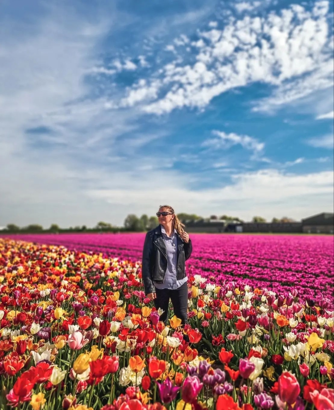 Découverte du Pays Bas